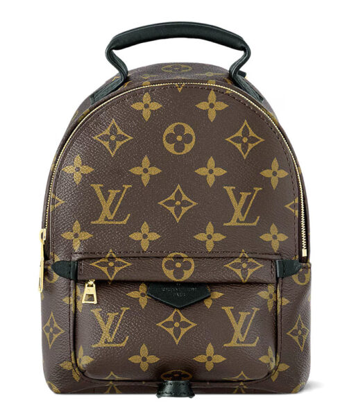 Louis Vuitton Palm Springs Mini M44873 Brown